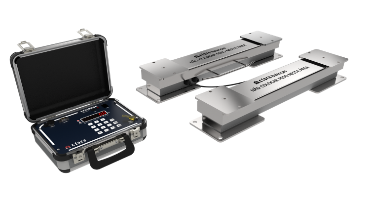 Balança Para Pesagem De Gado Modelo LD2000E com maleta