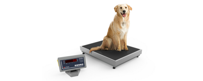 Balança Para Pesagem Cães B520 capacidade 3kg a 100kg