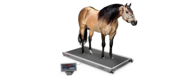 Balança Para Pesagem Equinos B650 capacidade 1000kg