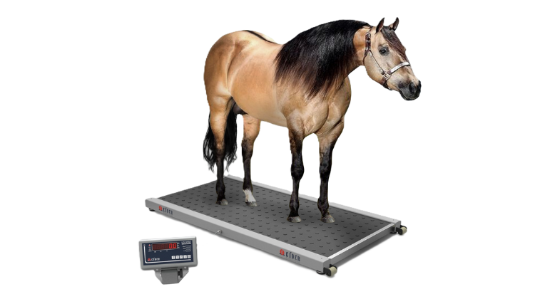 Balança Para Pesagem Equinos B650 capacidade 1000kg