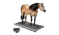 Balança Para Pesagem Equinos B650 capacidade 1000kg